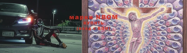индика Верея