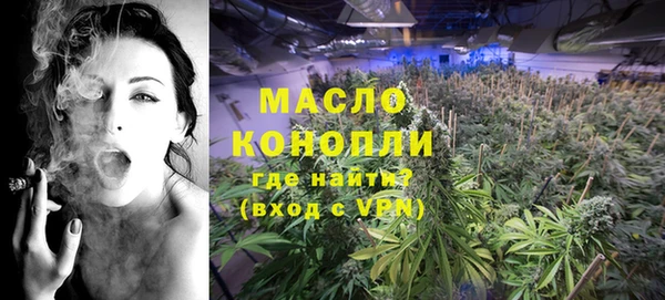 индика Верея