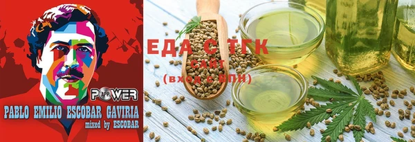 индика Верея