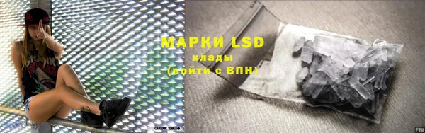 индика Верея