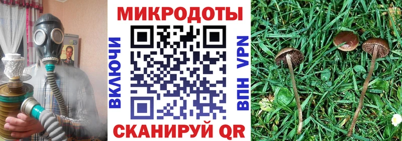 где купить наркоту  Сочи  hydra ССЫЛКА  Галлюциногенные грибы мухоморы 